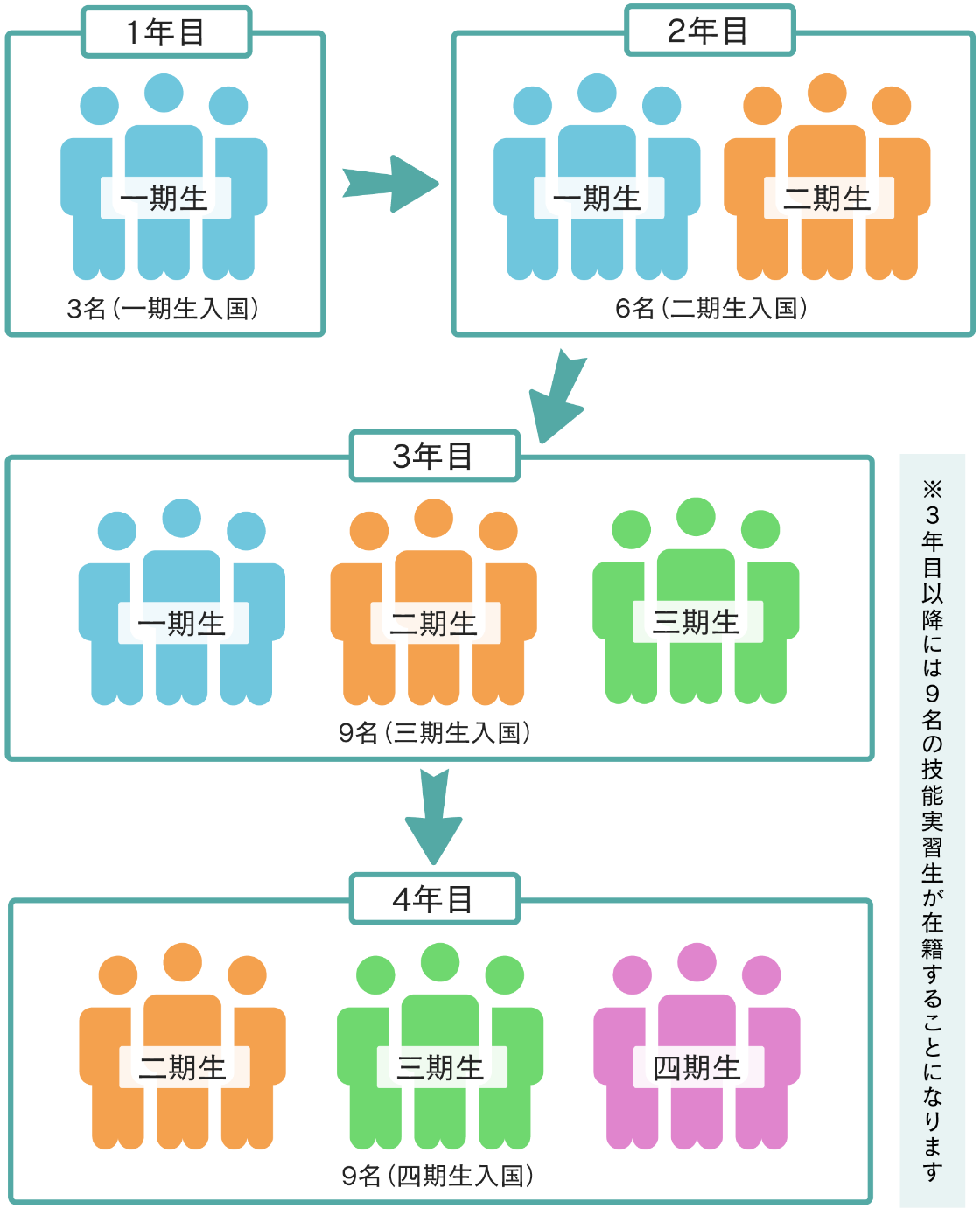 常勤職員数30人以下の企業が毎年技能実習生を受け入れた場合の人数モデル